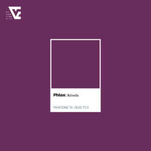 สีม่วงเข้ม Phlox