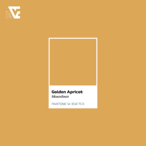 สีส้มแอปริคอต Golden Apricot