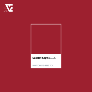 สีแดงก่ำ Scarlet Sage